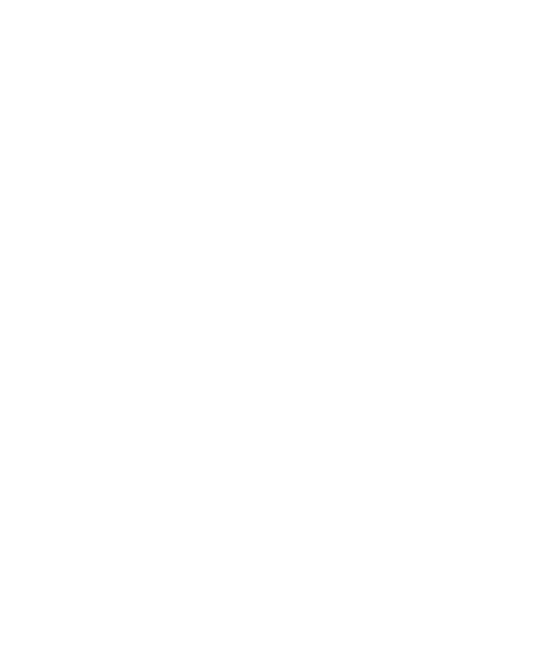 Logo Ma Brique pour Sankara